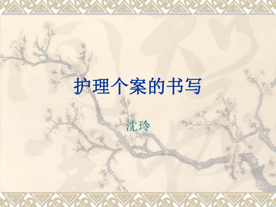 護(hù)理個(gè)案的書(shū)寫(xiě).ppt_第1頁(yè)