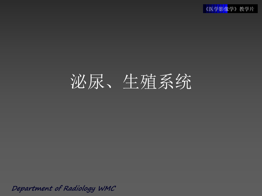 泌尿生殖系统.ppt_第1页