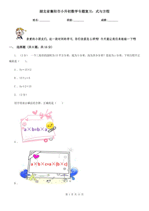 湖北省襄陽市小升初數(shù)學專題復習：式與方程