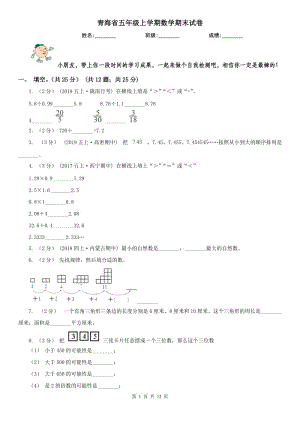 青海省五年级上学期数学期末试卷