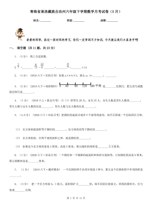 青海省果洛藏族自治州六年级下学期数学月考试卷（5月）