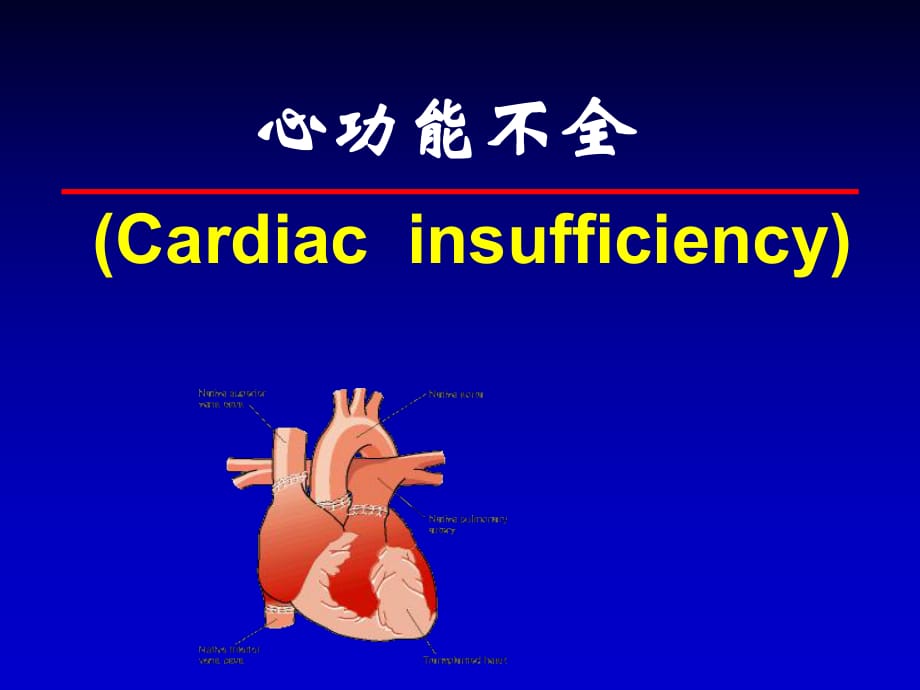 《心功能不全》.ppt_第1頁(yè)