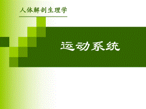 運動系統(tǒng).ppt