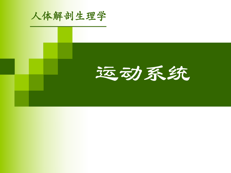 運動系統(tǒng).ppt_第1頁