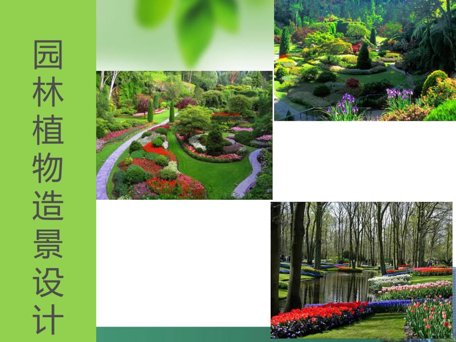 园林植物造景的设计方法_第1页