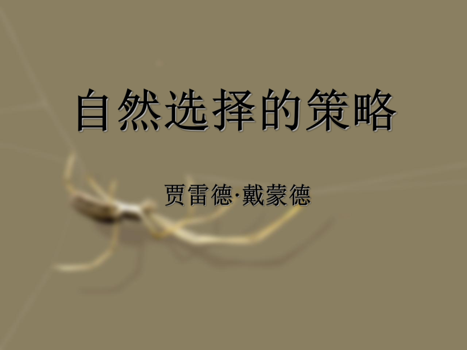 自然選擇的策略.ppt_第1頁(yè)