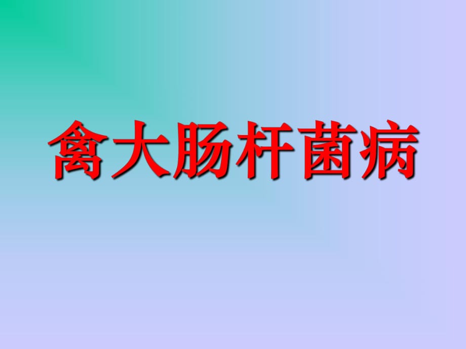 禽大肠杆菌病.ppt_第1页