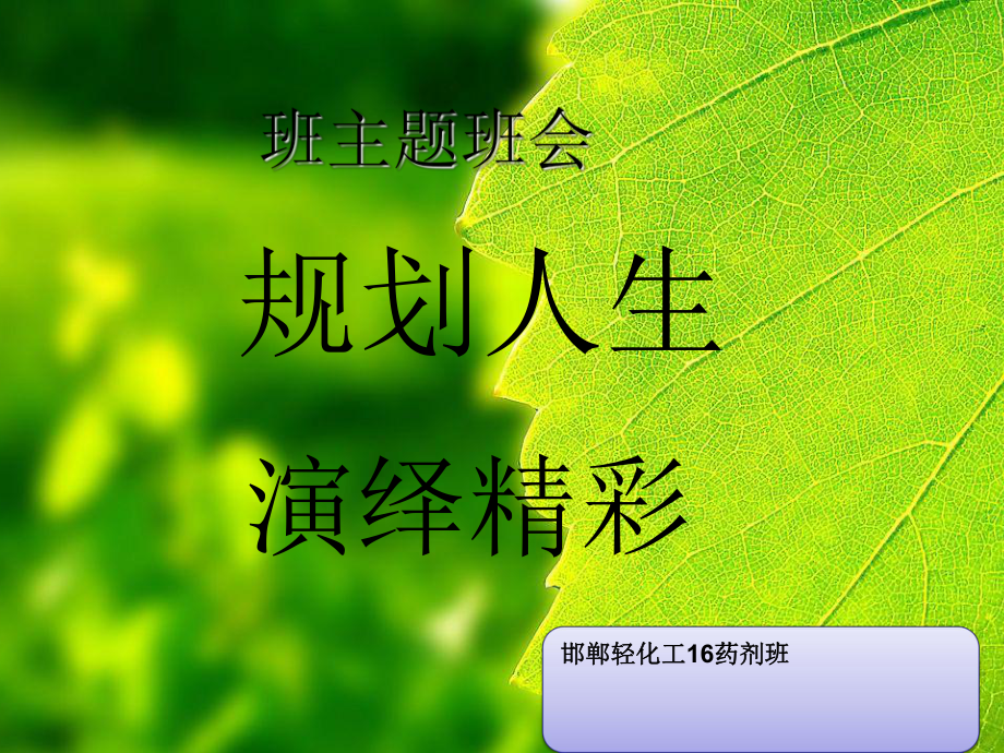 職業(yè)生涯規(guī)劃主題班會(huì)_第1頁(yè)