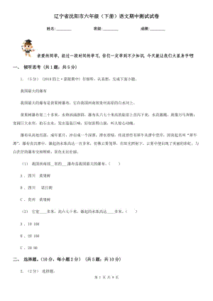 辽宁省沈阳市六年级（下册）语文期中测试试卷