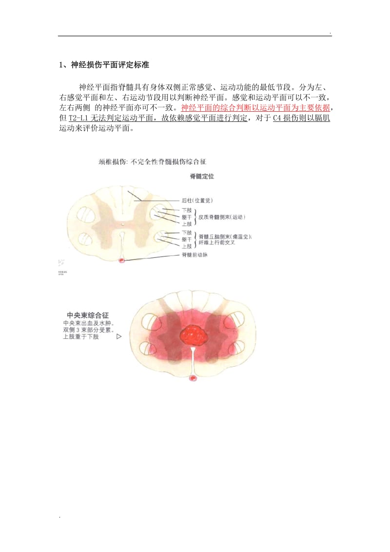 脊髓损伤-读书笔记_第1页