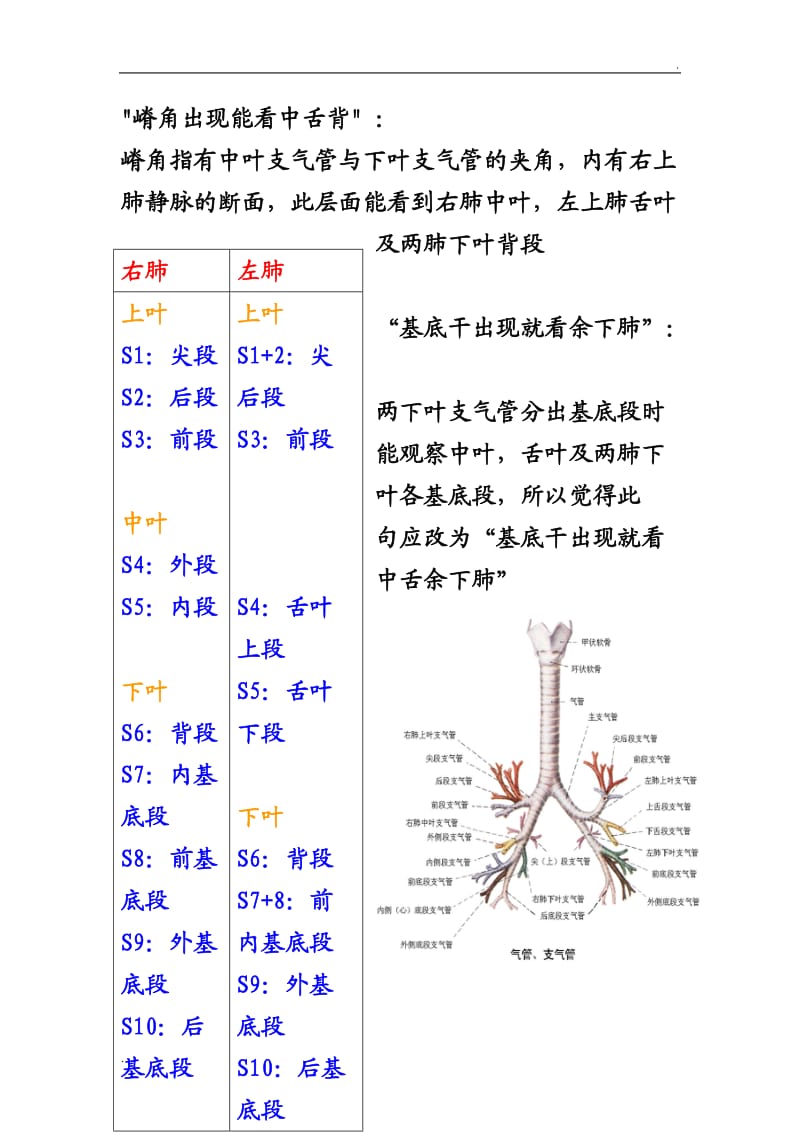 胸部CT口诀：肺的分段(图解)_第2页