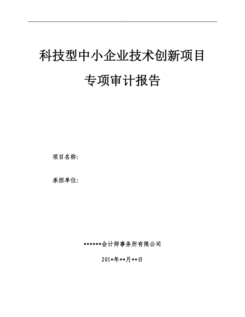 科技型中小企业技术创新项目-审计报告-模板_第1页