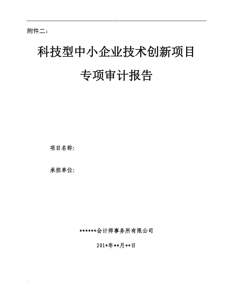 科技型中小企业技术创新项目验收专项审计报告_第1页