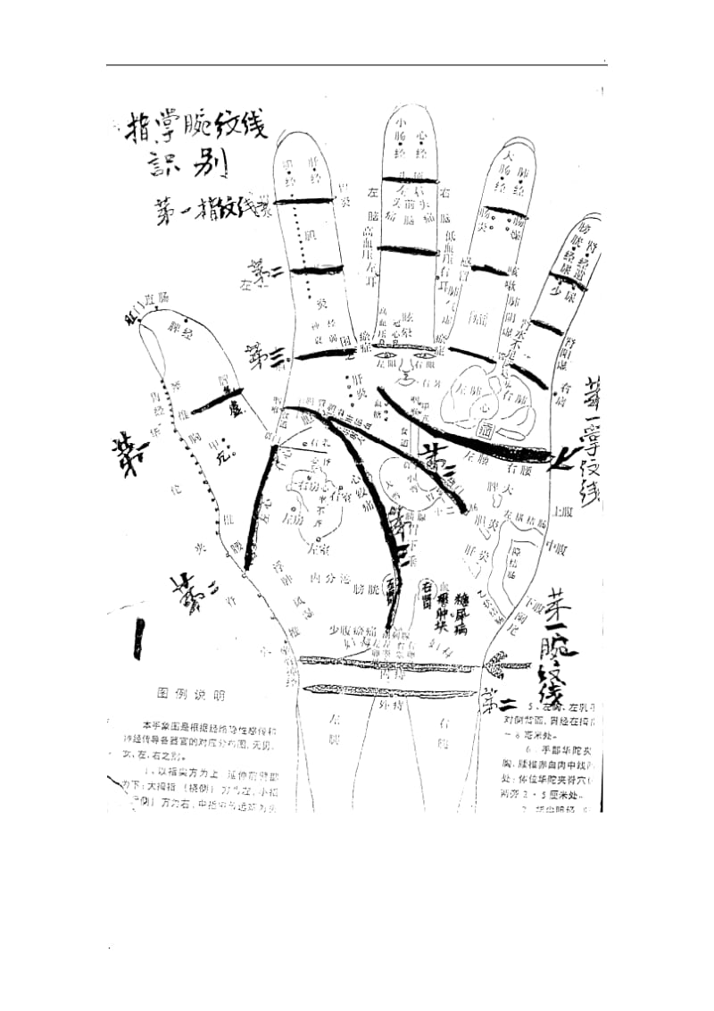 手穴诊疗法(图解)_第3页