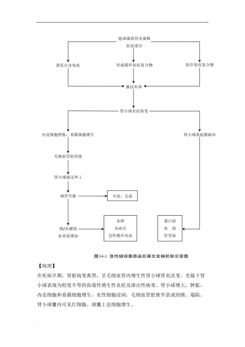 急性肾小球肾炎诊疗规范_第2页