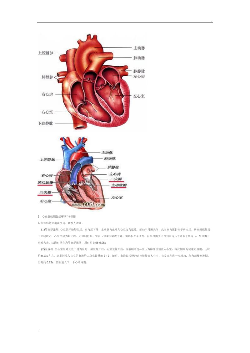 心脏血流动力学_第2页