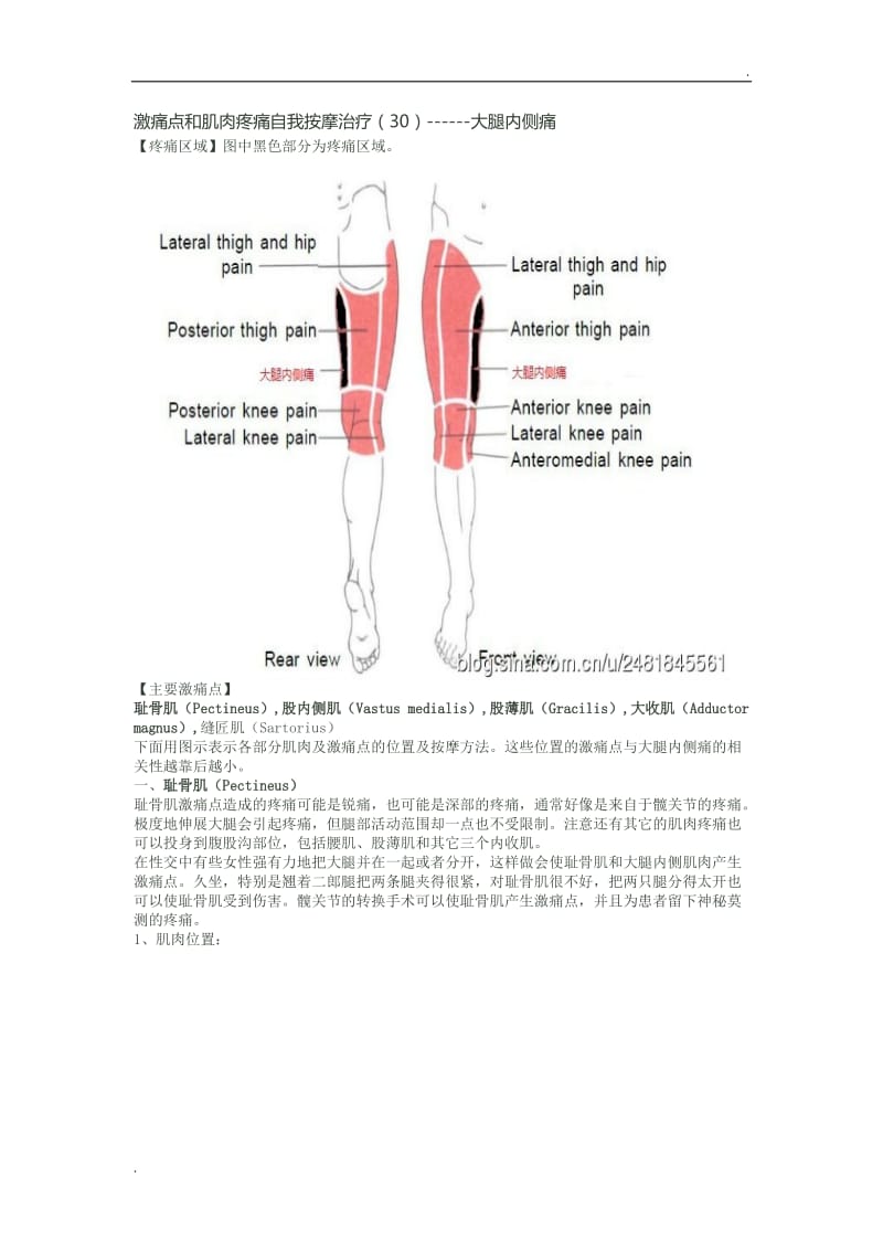 激痛点和肌肉疼痛自我按摩治疗(30)------大腿内侧痛_第1页