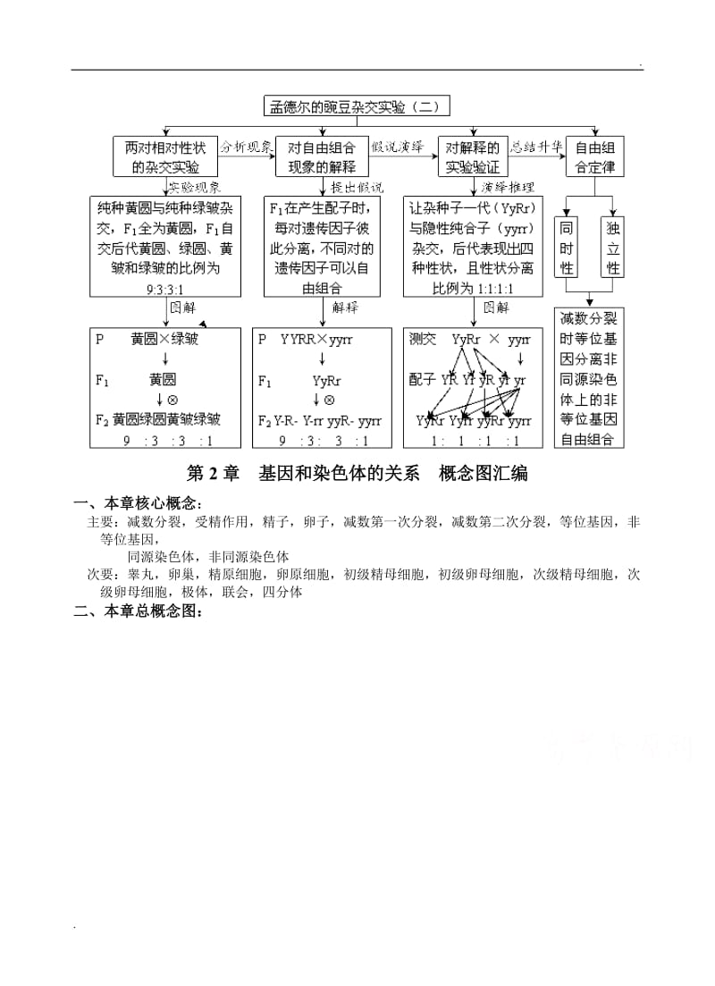 高中生物必修二遗传与进化 概念图汇编_第2页