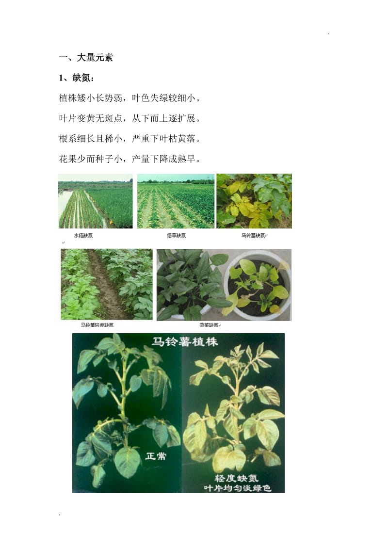 植物缺素症诊断_第1页