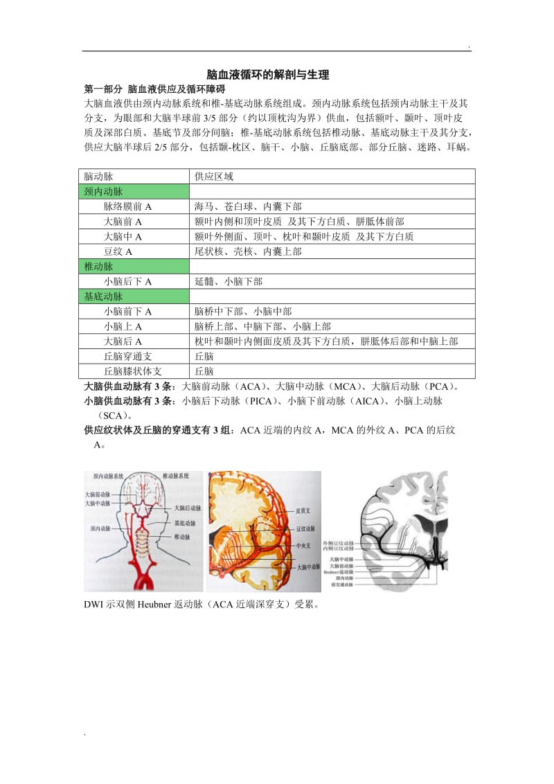 脑血液循环的解剖与生理_第1页