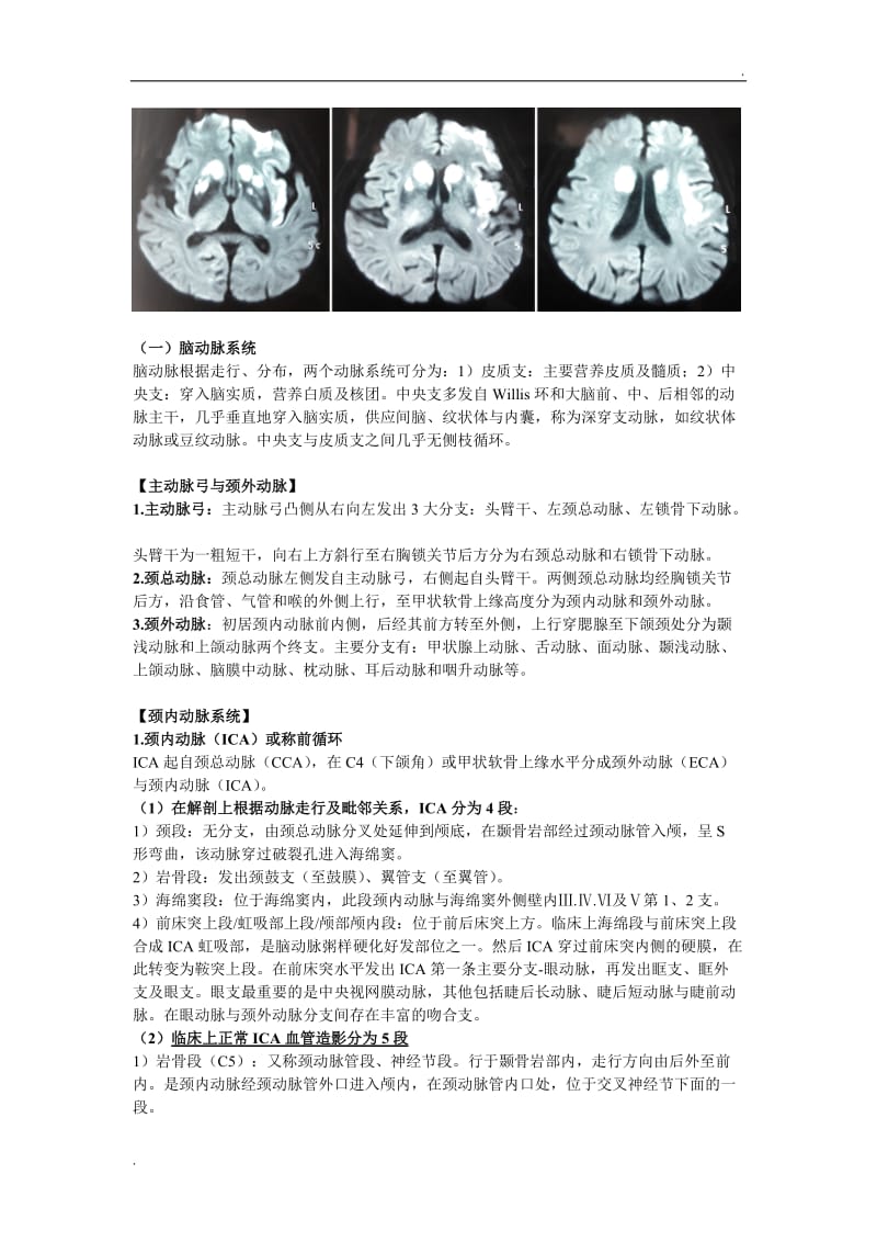 脑血液循环的解剖与生理_第2页