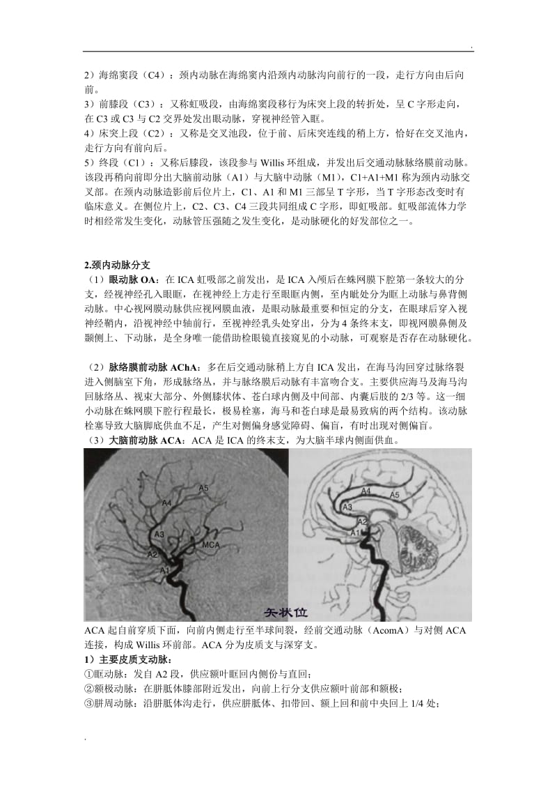 脑血液循环的解剖与生理_第3页