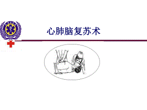 心肺腦復(fù)蘇術(shù).ppt