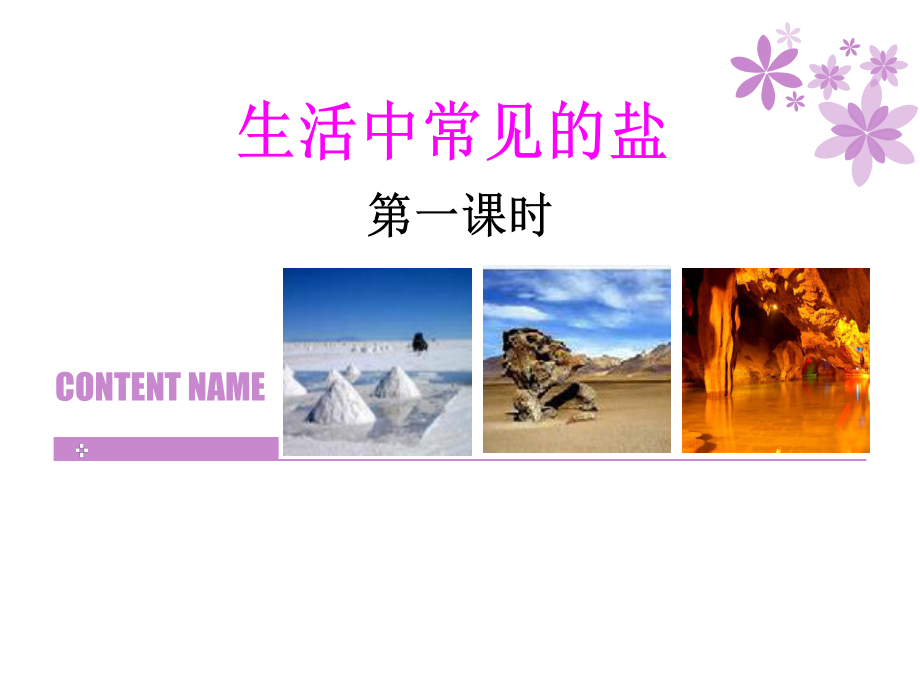 生活中常見(jiàn)的鹽說(shuō)課稿.ppt_第1頁(yè)