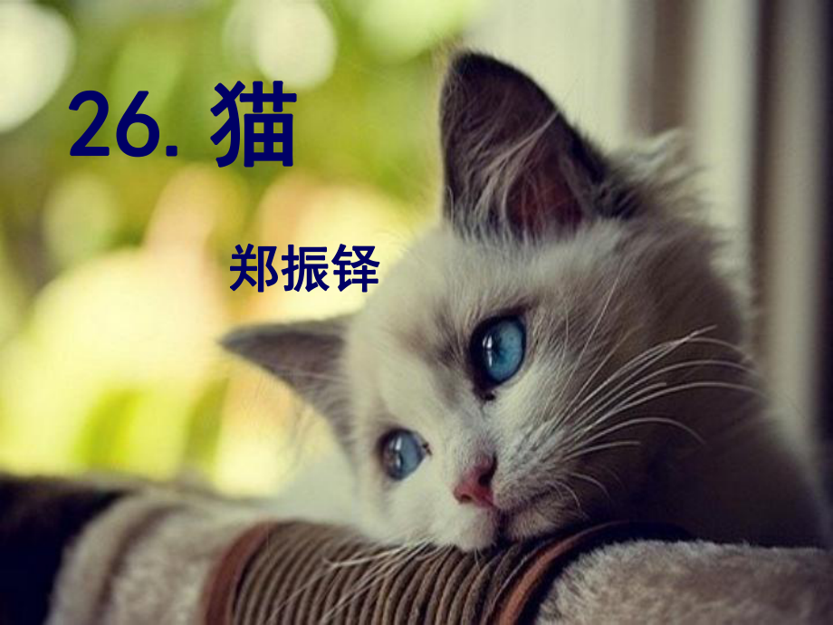 貓鄭振鐸公開課.ppt_第1頁