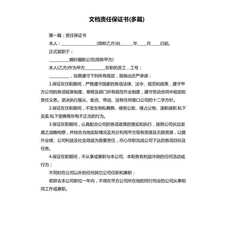 文档责任保证书多篇.docx_第1页