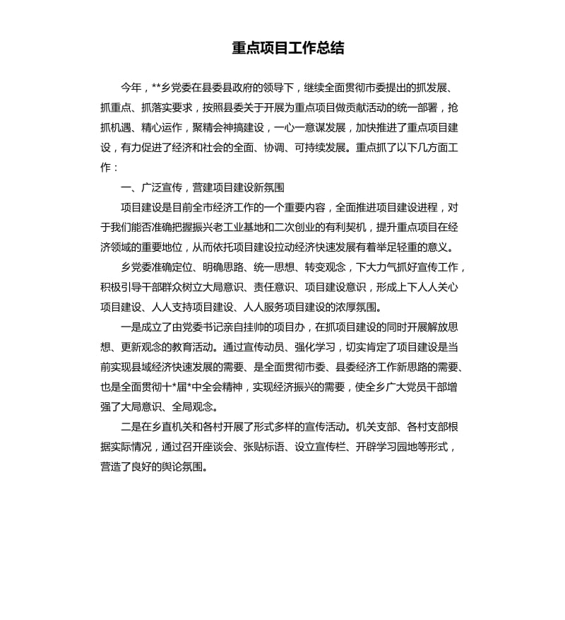 重点项目工作总结.docx_第1页