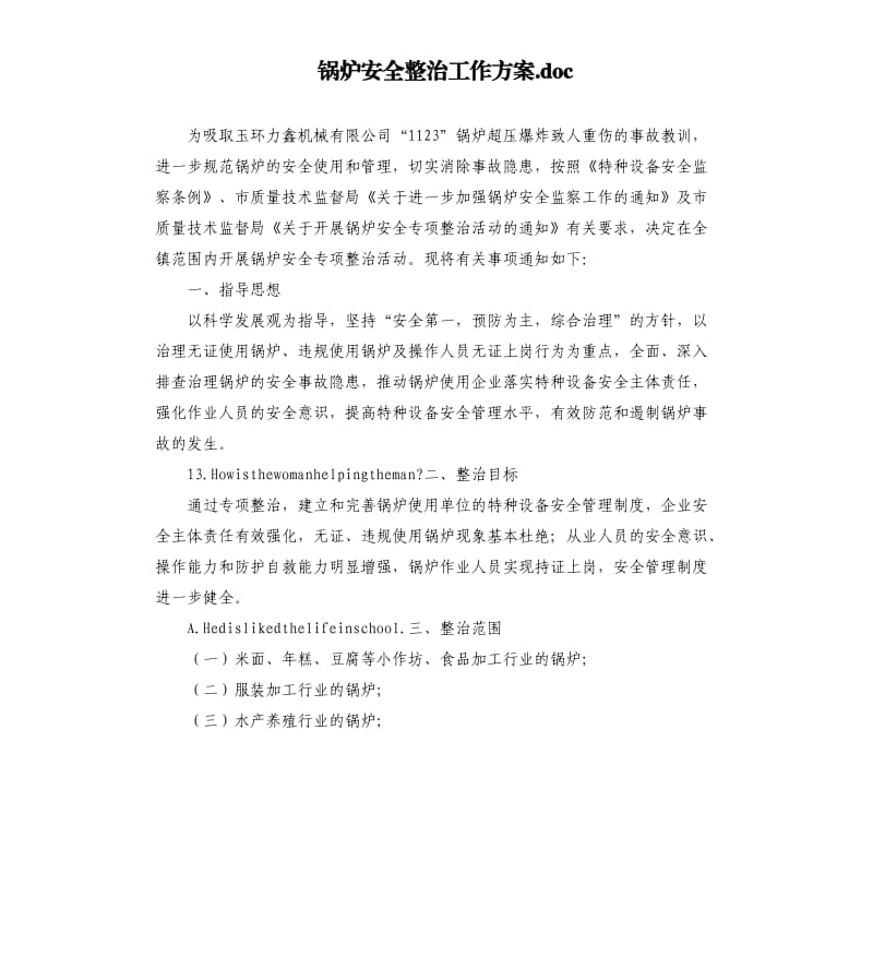 锅炉安全整治工作方案.docx_第1页