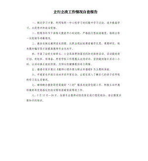 立行立改工作情況自查報告.docx