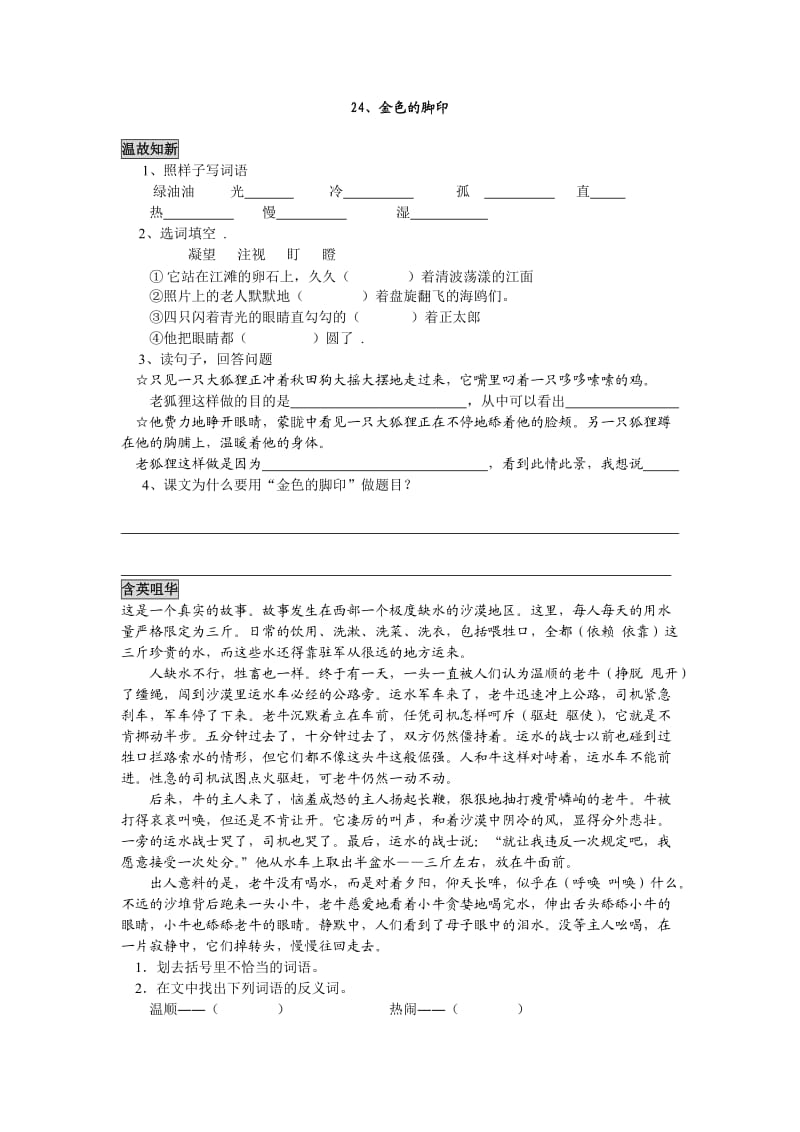 人教版六年級(jí)上冊(cè)語文24金色的腳印_第1頁