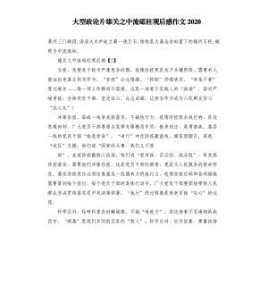 大型政論片雄關(guān)之中流砥柱觀后感作文2020.docx