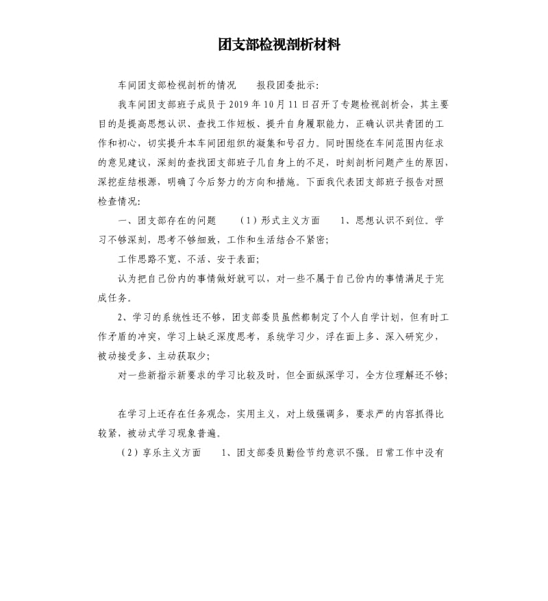 團支部檢視剖析材料.docx_第1頁