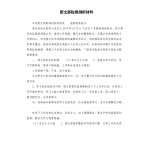 團(tuán)支部檢視剖析材料.docx