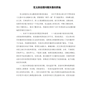 黨支部查擺問題及整改措施.docx