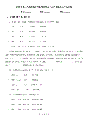 云南省祿勸彝族苗族自治縣高三語(yǔ)文5月高考適應(yīng)性考試試卷