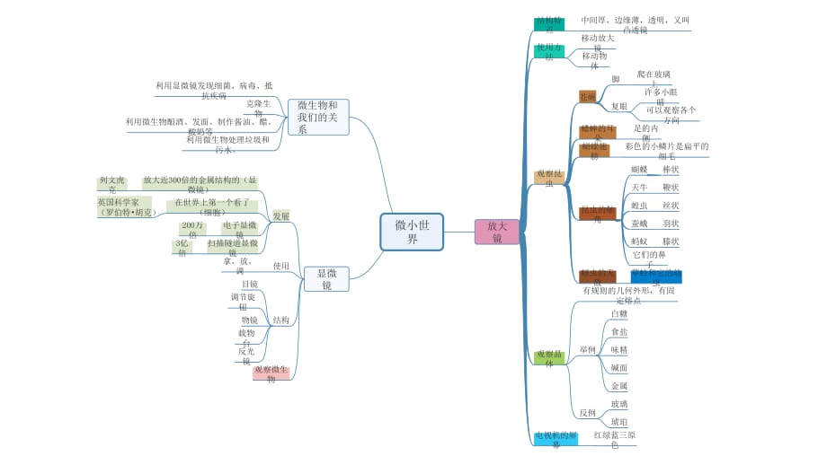 六年級科學下冊第一二單元思維導圖_第1頁