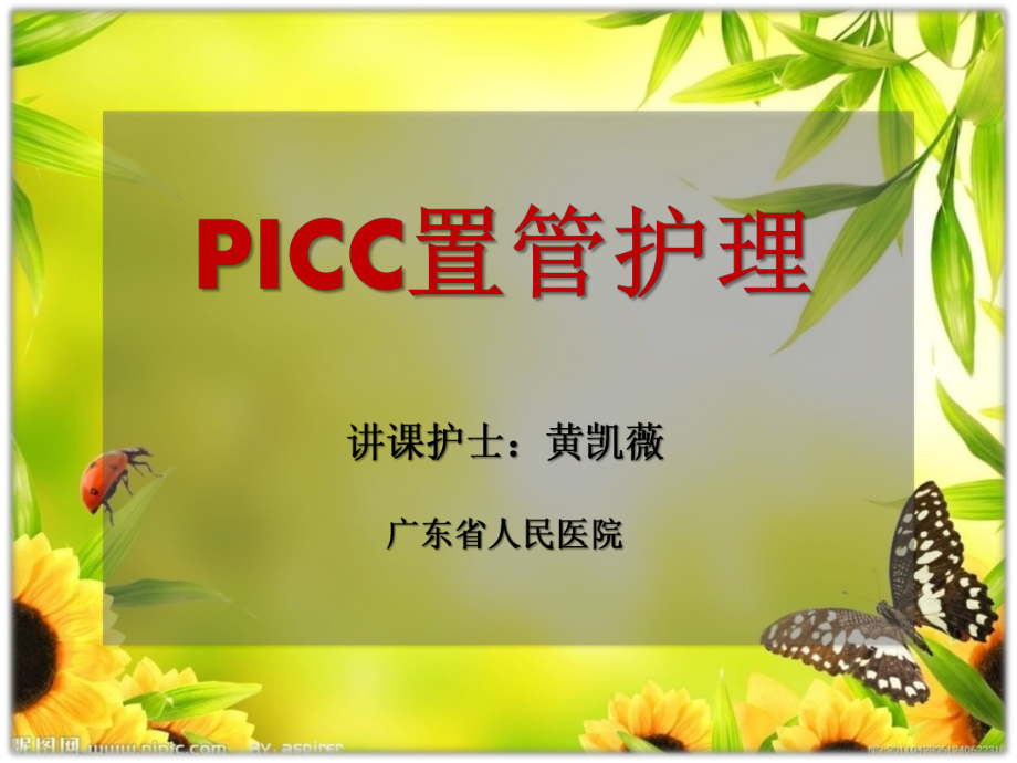 《picc置管護理》PPT課件_第1頁