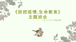 《防控疫情,生命教育》主題班會(huì)課件