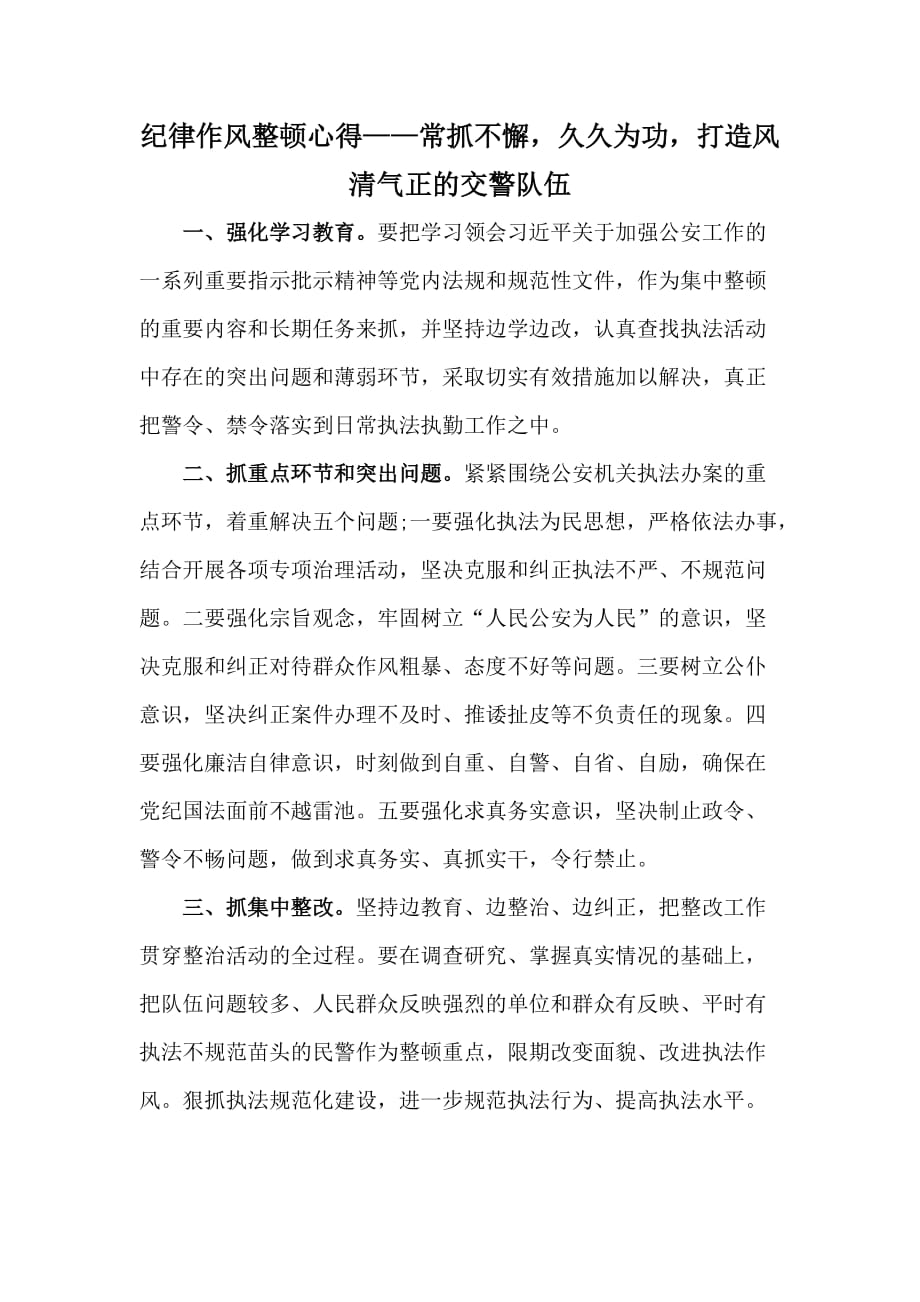 紀律作風整頓心得——常抓不懈久久為功打造風清氣正的交警隊伍_第1頁