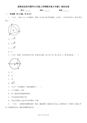 湖南省岳陽市數(shù)學九年級上學期期末復習專題5 垂徑定理