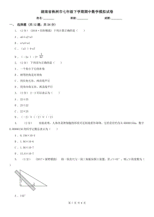 湖南省株洲市七年级下学期期中数学模拟试卷
