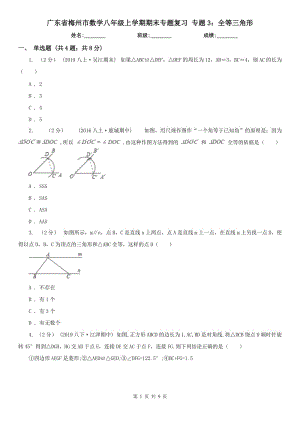 广东省梅州市数学八年级上学期期末专题复习 专题3：全等三角形