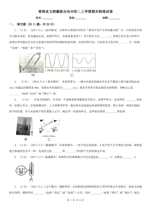 青海省玉树藏族自治州初二上学期期末物理试卷