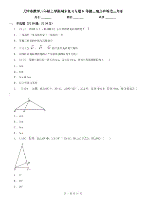 天津市數(shù)學(xué)八年級上學(xué)期期末復(fù)習(xí)專題6 等腰三角形和等邊三角形