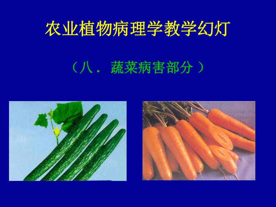 蔬菜病害 PPT課件.ppt_第1頁