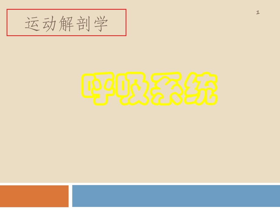 內(nèi)臟-呼吸系統(tǒng)《運(yùn)動(dòng)解剖學(xué)》.ppt_第1頁